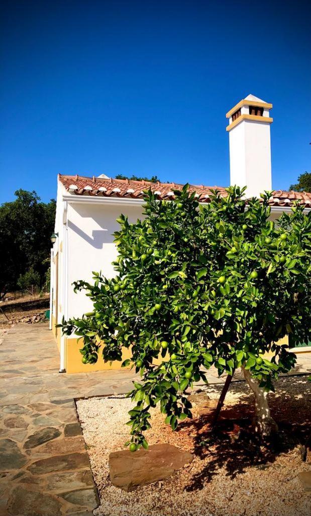 Casa Do Forno Evora Retreat Villa Redondo Eksteriør bilde